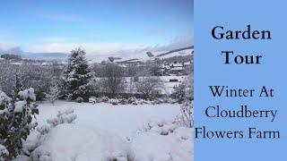 Garden Tour Cloudberry Flowers | Winter Flower Farm | Cut Flower Garden