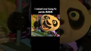 i voiced over kung fu panda