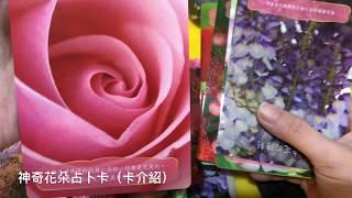 （拆封文）常用的神諭卡介紹