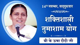 LIVE: नुमाशाम का योग | Evening Meditation  COMMENTARY के साथ | BK Usha Didi Ji | 14 Nov 2024