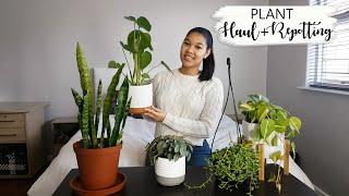 I GOT NEW PLANTS! | Plant Haul | Repotting | Well-draining Soil Mix | South African Youtuber