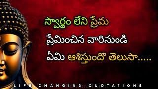 Telugu Motivational quotes about life | Buddha quotes | Jeevitha Satyalu |eswara truths | #220