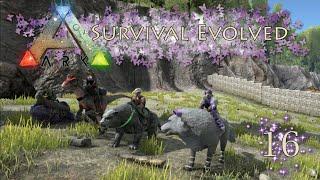 ARK: Survival Evolved | Ep. 16 | The Great ARK Race! Ft. Wyntr, Kohd, Puddzee & Elwen