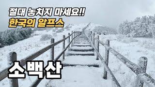 한국의 알프스 _ 소백산 등산코스 _ 겨울산행 놓쳐선 안되는 추천 1번지 소백산