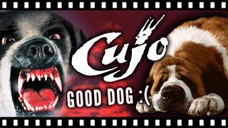 CUJO: Exploring Stephen King's Forgotten Nightmare