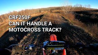 CRF250F Can the stock trail bike handle a Motocross track?