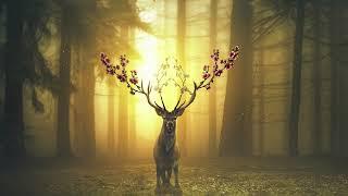 MIBA - Surreality