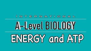 A Level Biology: Energy and ATP