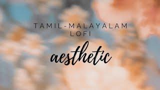 aesthetic tamil- malayalam lofi songs to relax 