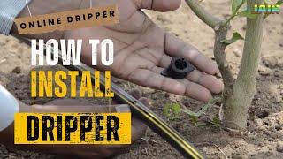 Online Dripper Installation | How To Install Online Dripper | Irrigation System