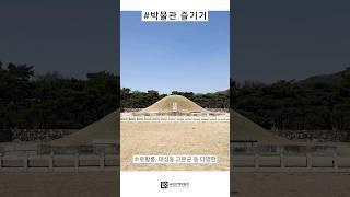 박물관 즐기기 | 김해 가볼만한 여행지 추천