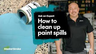 Ask an Expert - How to clean up paint spills