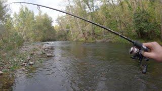 Pescando truchas con una eclosión brutal de Ecdyonurus