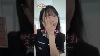 1분 벚꽃 메이크업 하린이와 같이 아침 준비해요 #예능 #aroundtheworld #grwm #겟레디윗미 #아침일상 #화장품 #재밌는영상