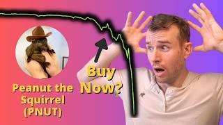 Buy the PNUT Crash?  Peanut the Squirrel Crypto Token Analysis