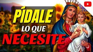 PÍDALE LO QUE NECESITE  Nuestra Señora del Sagrado Corazón de Jesús es Nuestra Abogada