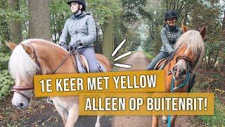 1e keer ALLEEN met Yellow op buitenrit! || Vlog#107