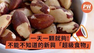 巴西堅果是什麼？｜一天一顆就夠！不可不知的「超級食物」