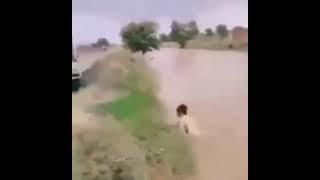 only in pakistan #pakistani #2024 #cricket #austad #funnyvideo #youtubeshorts #mughees #mughees