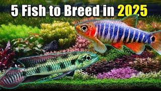 5 Fish to Breed in 2025!