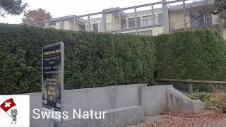 Swiss Natur:St.gallen 10.11.2021