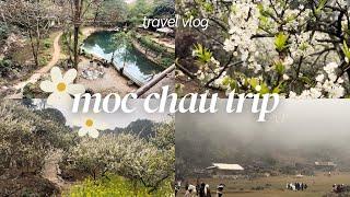 Travel Vlog | Mộc Châu - Sơn La du lịch mùa hoa mận trắng