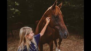 How to save $2000/month with 6 horses. Adaptive grazing economics and time saving discussion