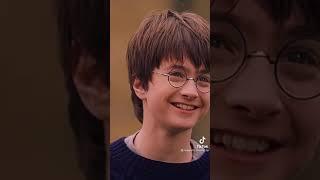 Harry Potter Characters x Y/N TikTok POV