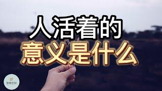 人活着的意义是什么？   | 2022 | 思维空间 0505