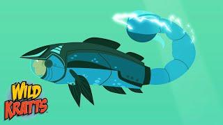 A Salmon with a Scorpion Tail? | Transformation Malfunctions | Cartoons for Kids | Wild Kratts