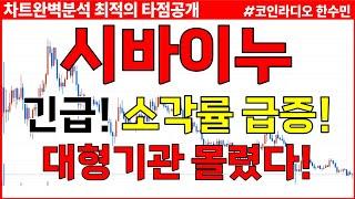 [시바이누 코인전망] 긴급! 일일 소각률 14000% 급증! 대형기관 몰렸다! 다음주 안에 이가격 찍겠네요