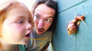 MY PET SNAIL!! New Morning Routine catching bugs with Adley in Hawaii