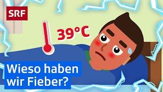 Fieber: Darum erhöht sich unsere Temperatur – einfach erklärt | Kindervideos | SRF Kids