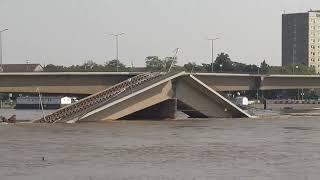 Blick auf die im Hochwasser der Elbe liegenden Teile der eingestürzten Carolabrücke in Dresden