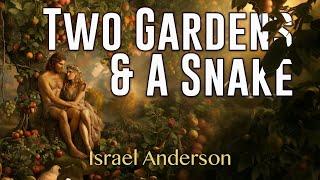 Two Gardens and a Snake - What ACTUALLY Happened in the Garden of Eden?