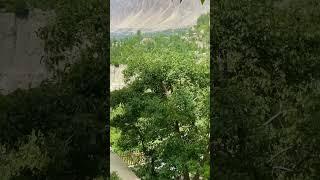 I️HUNZA ! Bangash Nama.