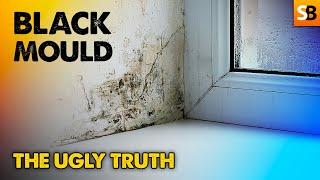 The Ugly Truth About Black Mould