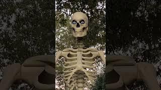 Huge 12 ft Skeleton from Home Depot Halloween 2022 #shorts