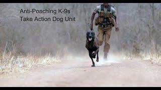 Anti-Poaching K-9s: Take Action Dog Unit.