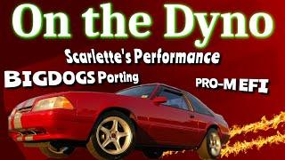 Dyno, BigDogs Porting, Pro-M EFI, AFR 205, Scarlettes Performance, Comp Cams XFI, 351w, Flowmaster