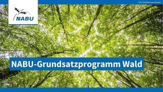 Vorstellung des NABU-Grundsatzprogramms Wald