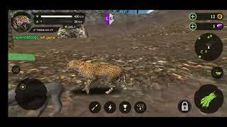 Panther online hack lag anmial 