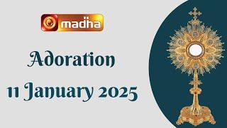  LIVE 11 January 2025 | Adoration 11:00 AM | Madha TV