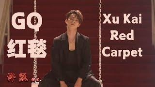 [Full/ENG] Xu Kai GQ Red Carpet 许凯GQ红毯 24.05.31