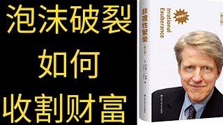 非理性繁荣如何影响我们的投资？（股市大泡沫2021）股市楼市怎样逃顶？经济泡沫的破裂收割我们的财富#经济泡沫#非理性繁荣#罗伯特 席勒