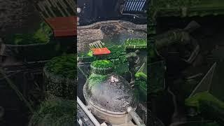Мойка двигателя и полная полировка с химчисткой. Полный ролик тут: @avant_sto 