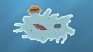 Amoeba Murder Mystery