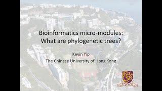 07. What are phylogenetic trees