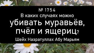 В каких случаях можно убивать муравьёв, пчёл и ящериц?