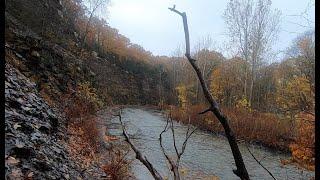 Steelhead Fly Fishing Western New York